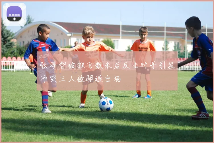 张淳智被推飞数米后反击对手引发冲突三人被驱逐出场